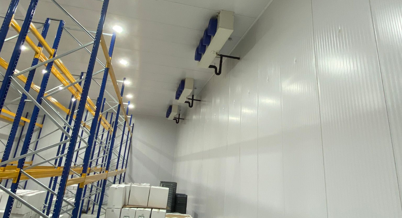 Untitled design (89)