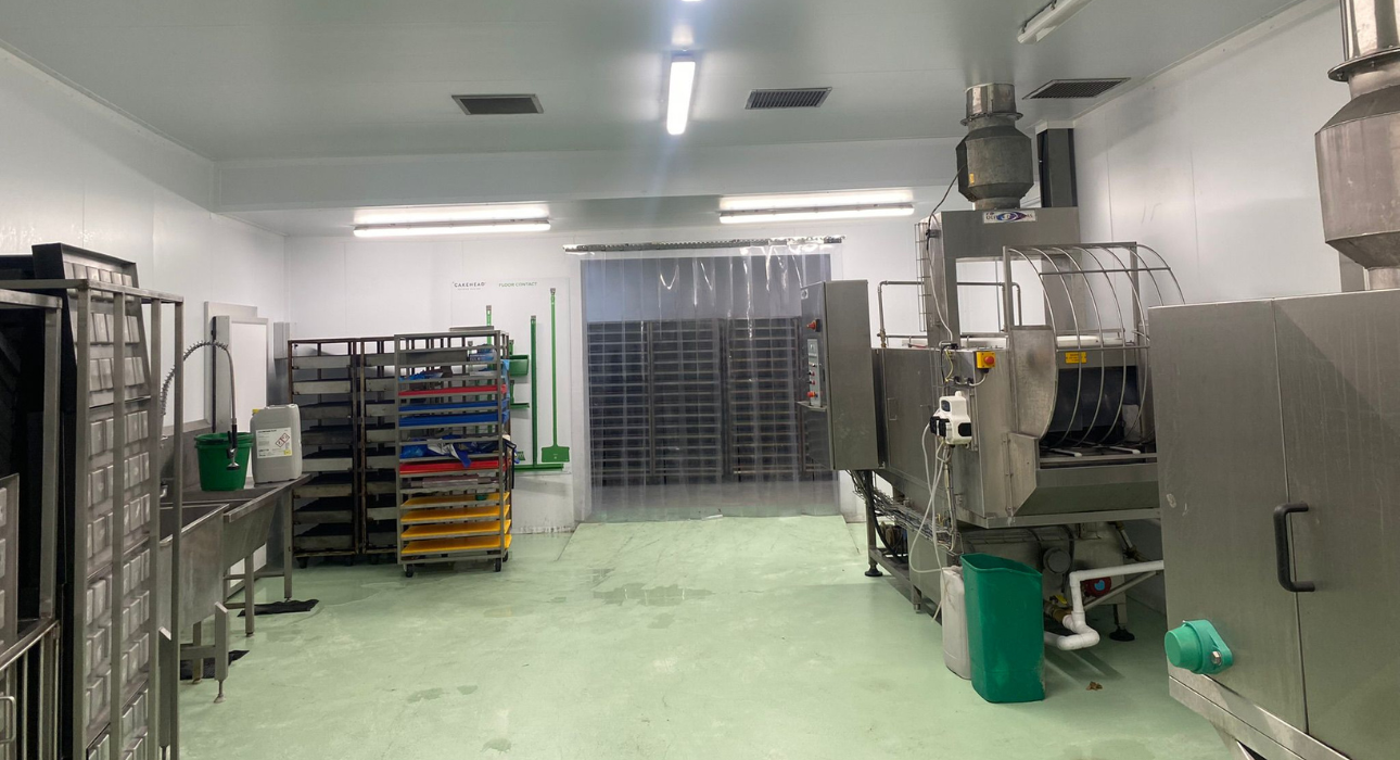 Untitled design - 2025-11-21T033527.567