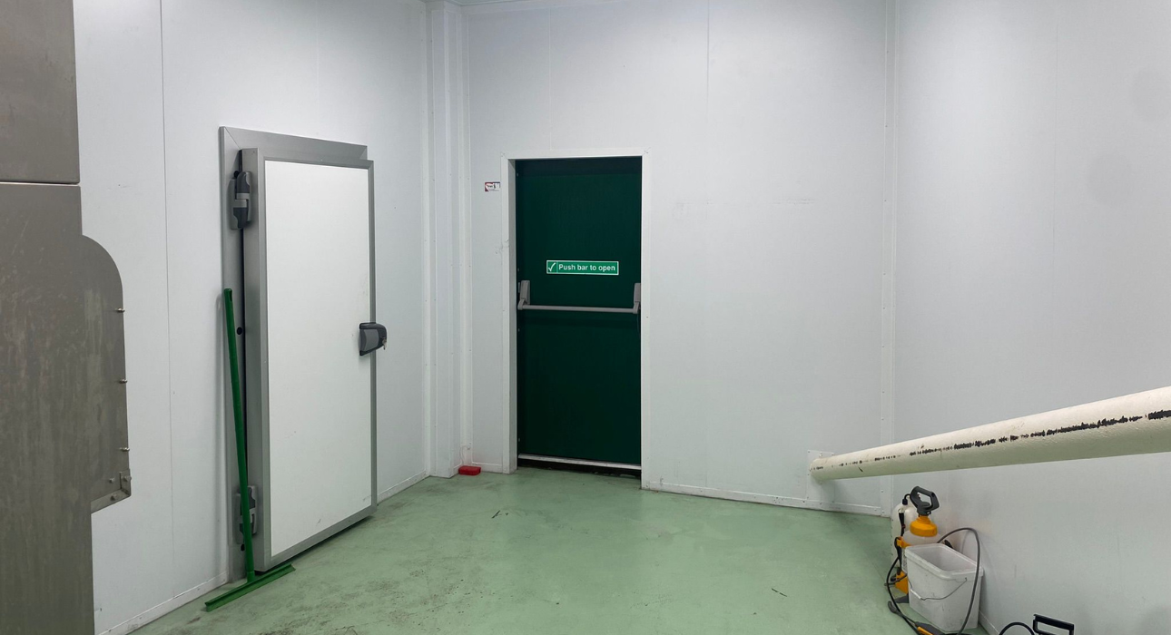 Untitled design - 2025-11-21T033637.302