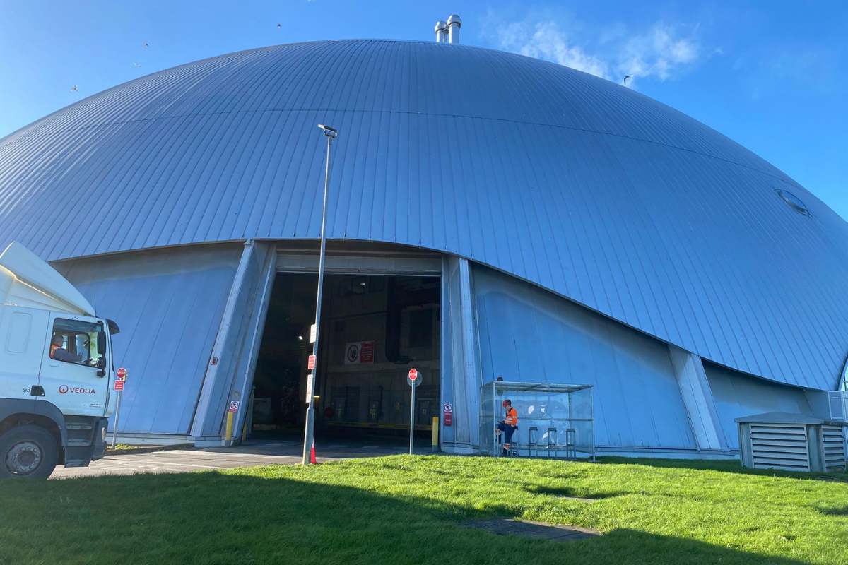 Untitled design (76)