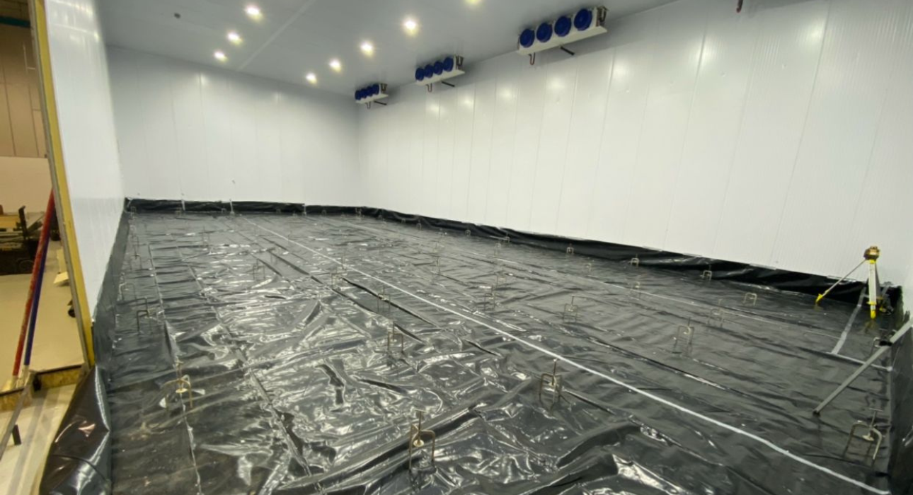 Untitled design (86)