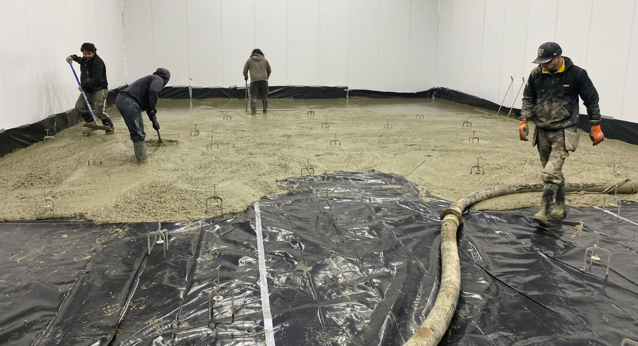 Untitled design (88)