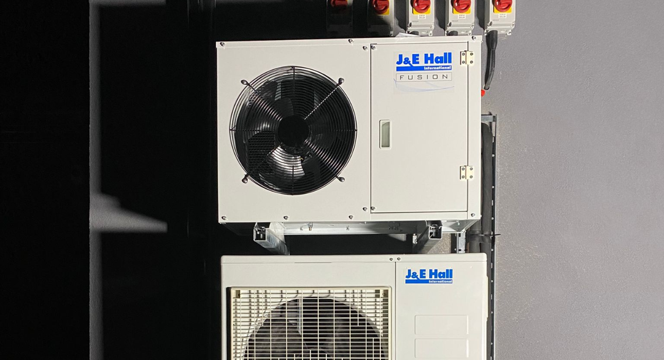 Untitled design (98)